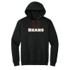 Heavy Blend  Hooded Sweatshirt - Contract Same Day Rush Thumbnail