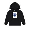 Toddler Sponge Fleece Hooded Sweatshirt Thumbnail